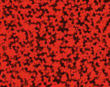 RED GLAM B-FLEX HEAT TRANSFER