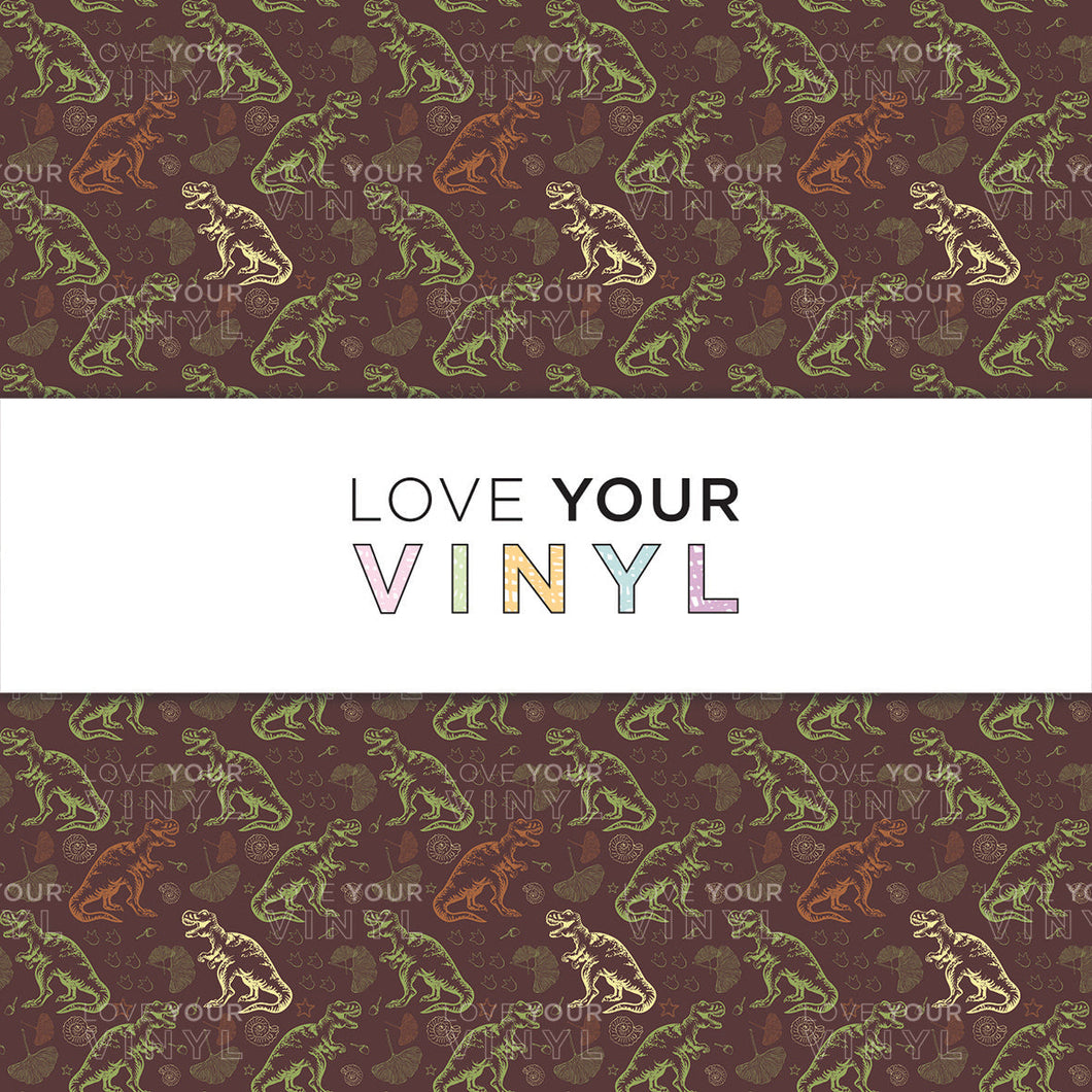 Dinosaur Patterned Vinyl LYV_1533