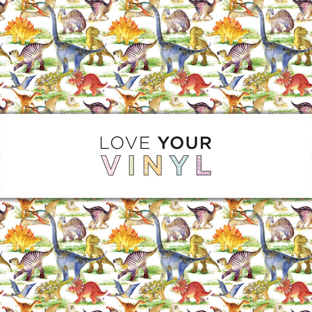 Dinosaur Patterned Vinyl LYV_1546