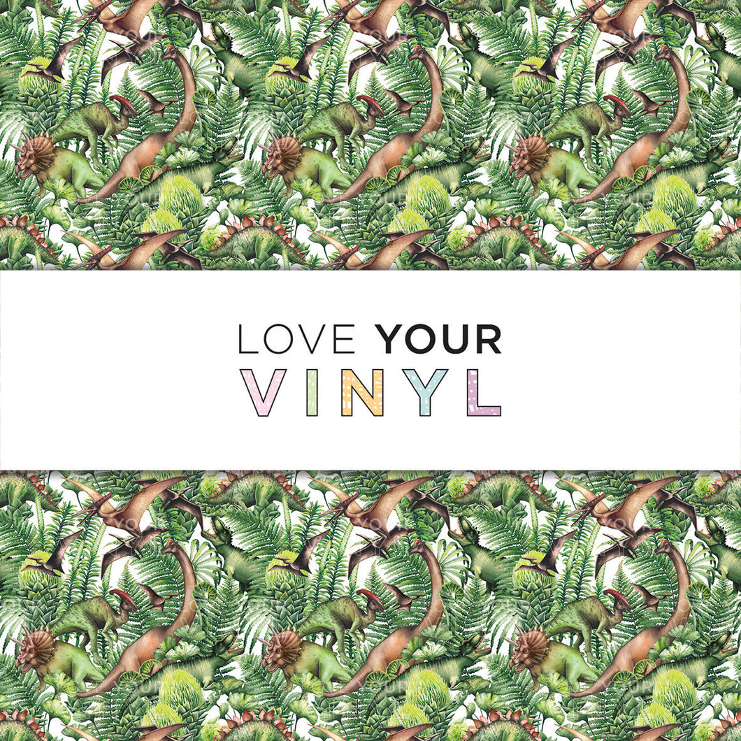 Dinosaur Patterned Vinyl LYV_1549