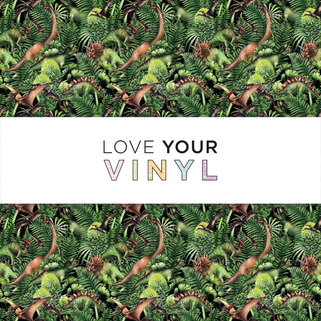 Dinosaur Patterned Vinyl LYV_1551