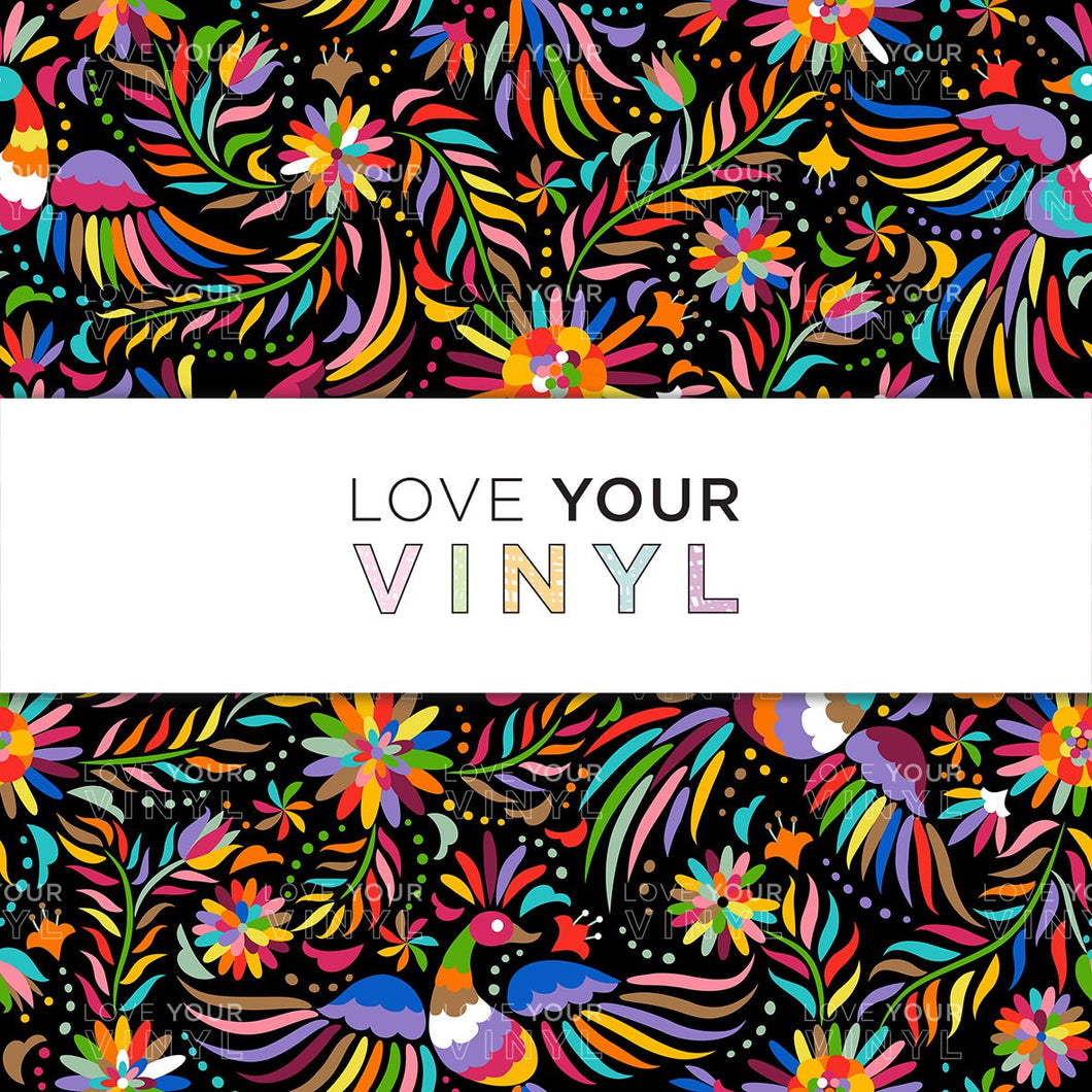 Rainbow Birds Fiesta Printed Vinyl LYV_737